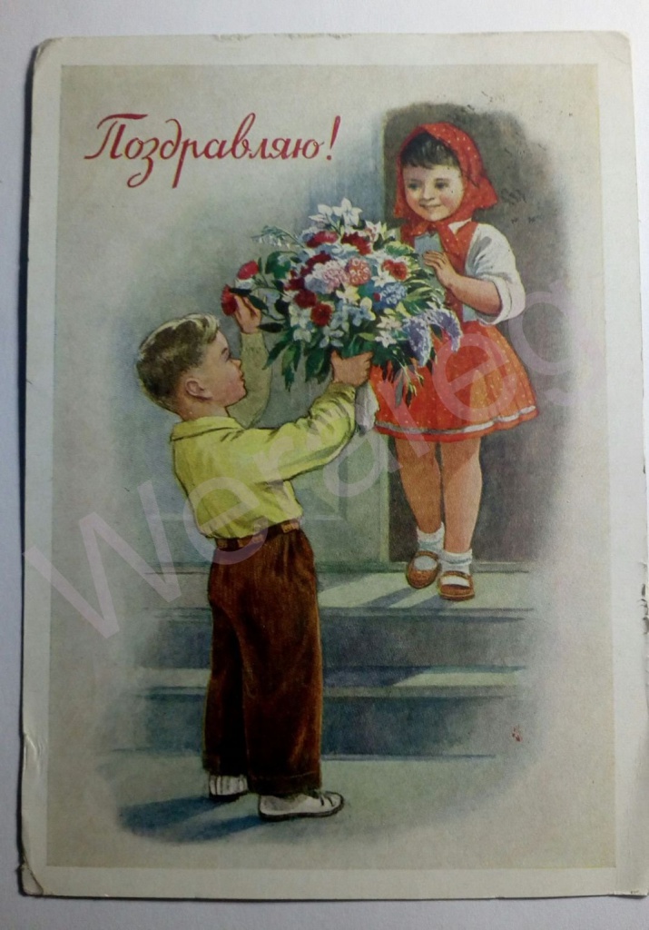 168196697.jpg